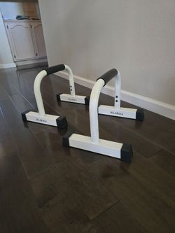 Parallette / Push-Up Bars