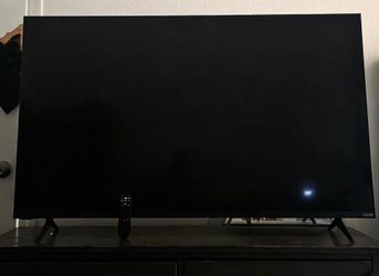 Vizio Flat Screen TV with Remote