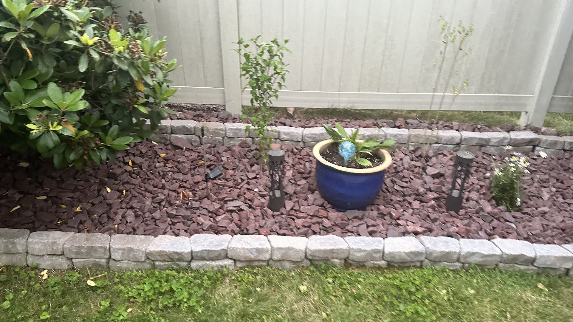 Rocks for FREE