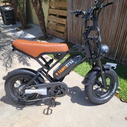 Electric Bike 1000W Engine 
