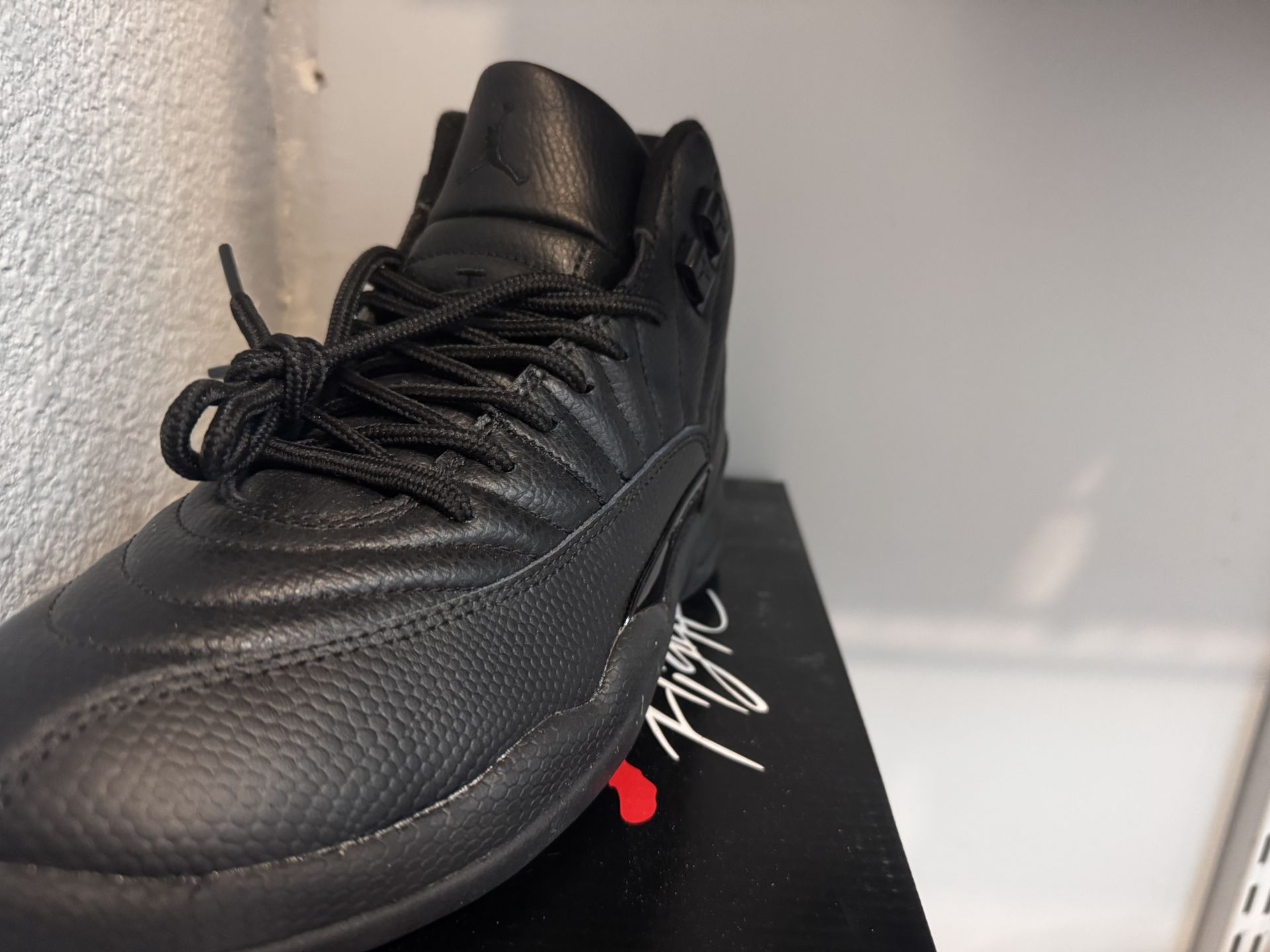 Jordan 12 Black On Black