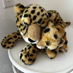 Cheetah With Cub - Aurora - Busch Gardens