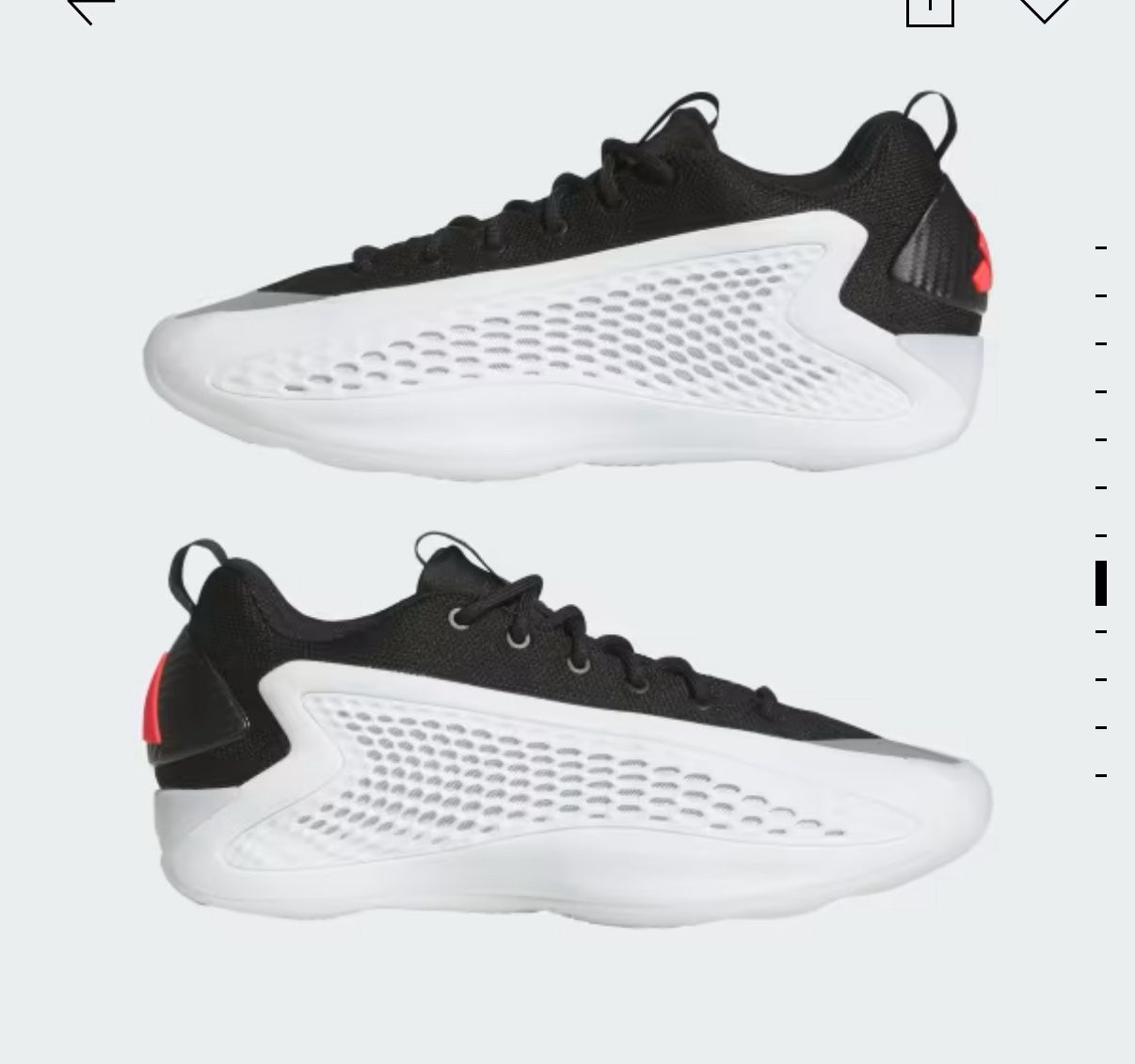 Anthony Edwards Size 12.5