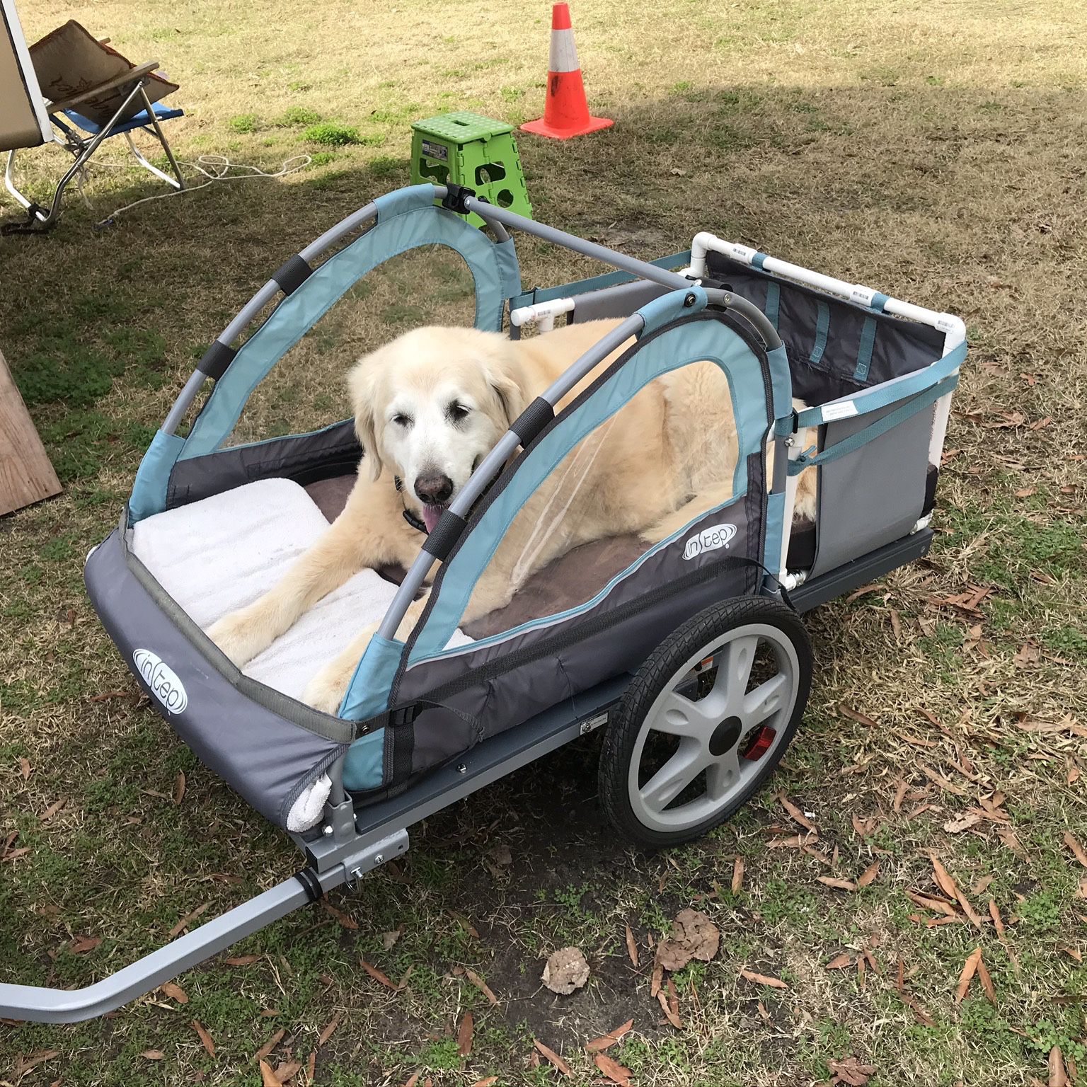 Dog Cart