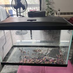 Aquarium Tank With Lid, Filter & Light Thumbnail