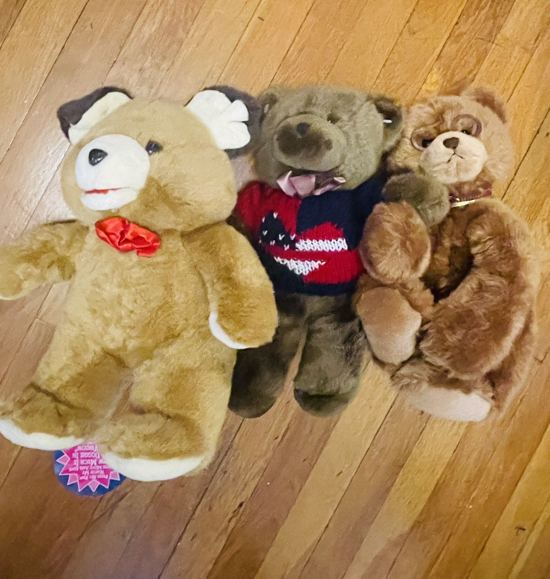 Teddy Bear 🧸 Bundle 
