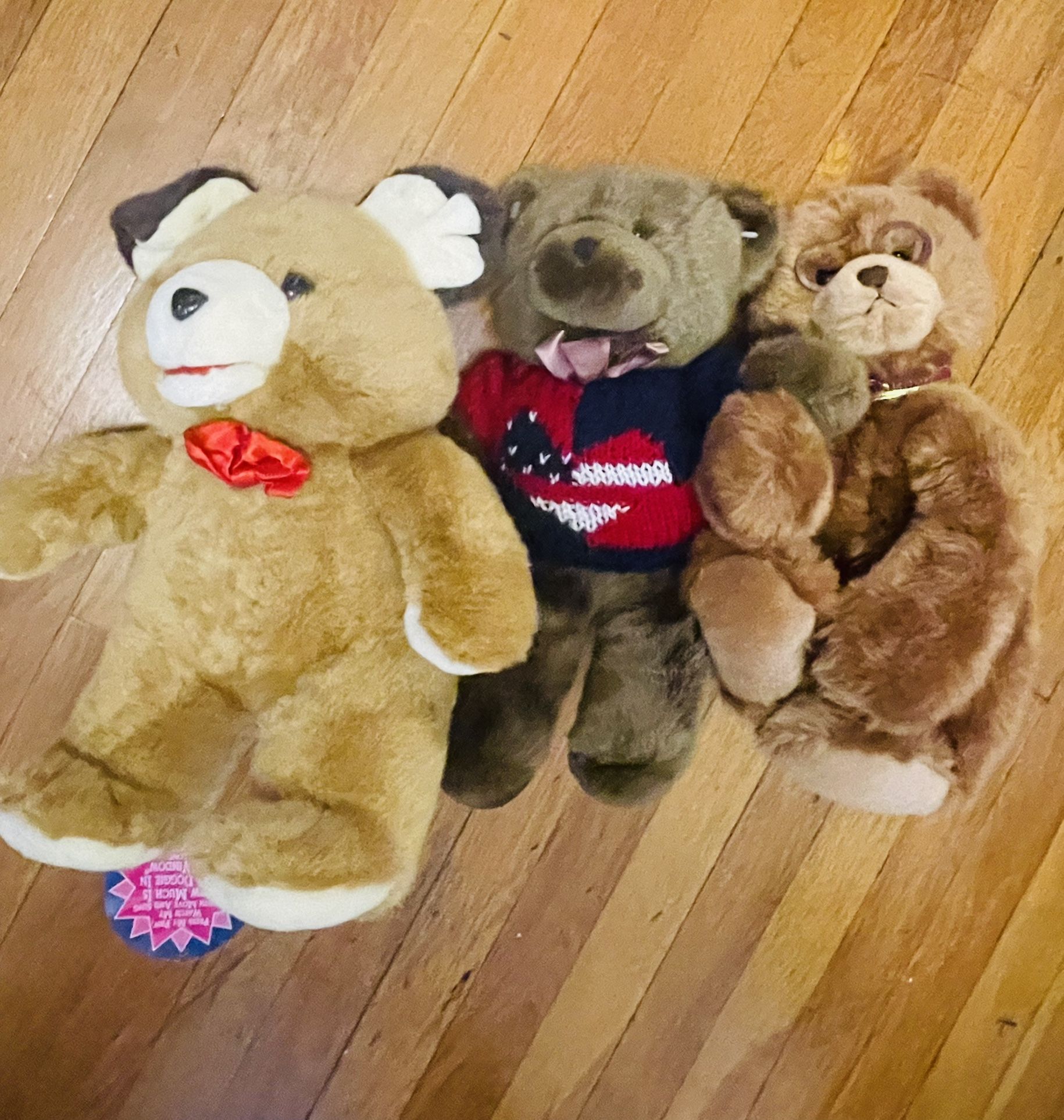 Teddy Bear 🧸 Bundle