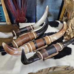 Polished Steer Horns