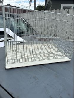 New bird  cage