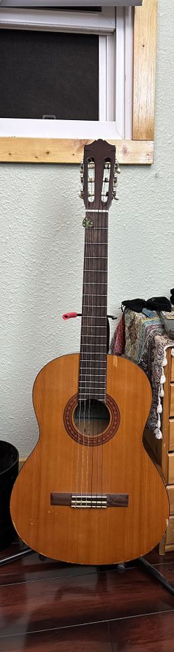 Yamaha Classical C40. 