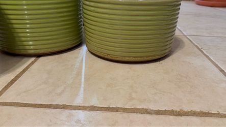 Pots garden plant