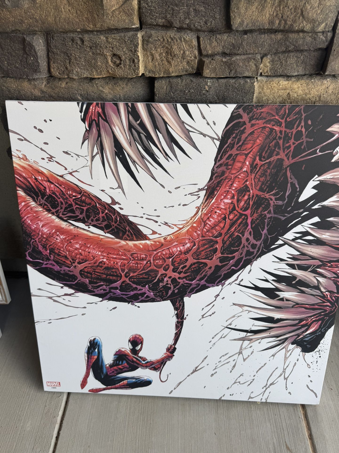 Marvel Spider-Man vs Carnage Canvas Wall Art – 20”x20”