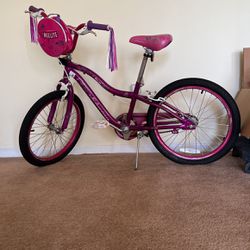 Schwinn 20’’ Deelite Girls Bike 