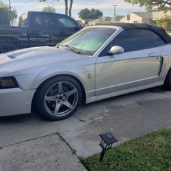 2003 Ford mustang cobra