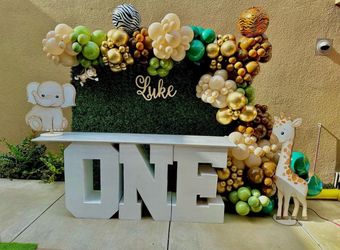 Safari theme birthday