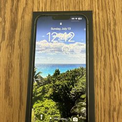 Iphone 13 Pro Max 128gb Graphite Gray- Unlocked