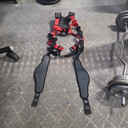 Safety Harness