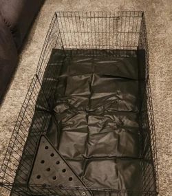 Guinea Pig Cage