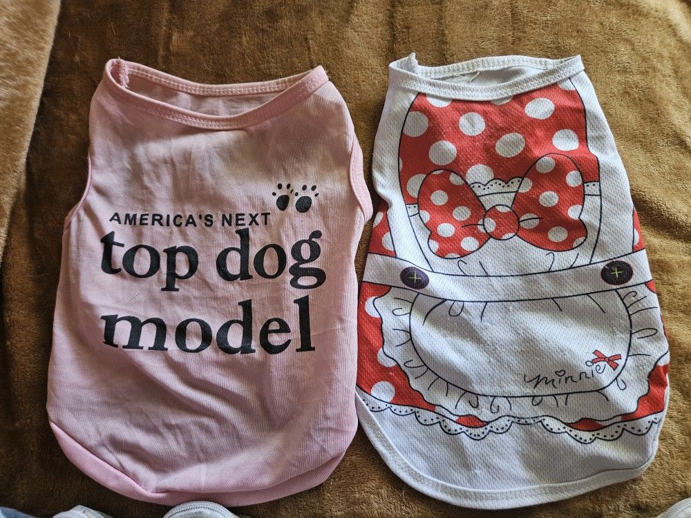 Dog Clothes