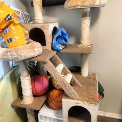 Cat Tower