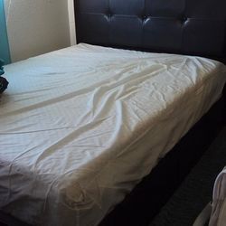 queen size bed for sale good brand