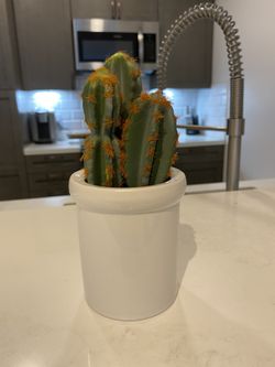 Fake cactus plant