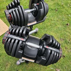 Bowflex Dumbells 10-90 With Stand 