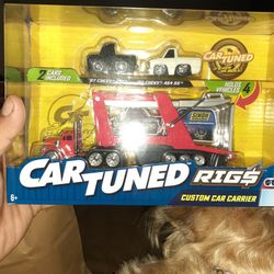 CARTUNED RIGS