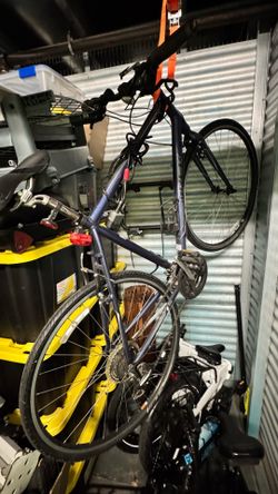 Trek bicycle.