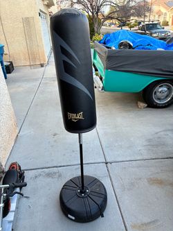 Everlast standing punching bag