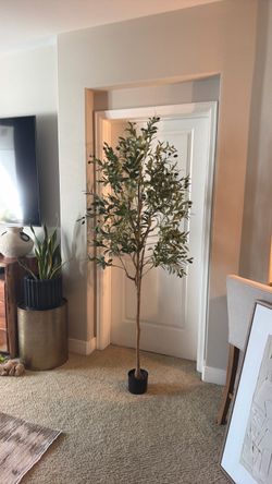 Tall Faux Olive Tree in Black Pot