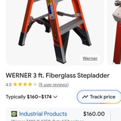 Werner Ladder 3' 