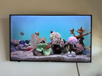 55” Roku onn. TV