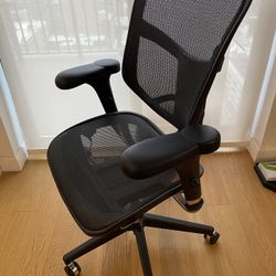 Ergonomic Computer Chair (x 2) - $100 Each [Pick-up after 4/13]