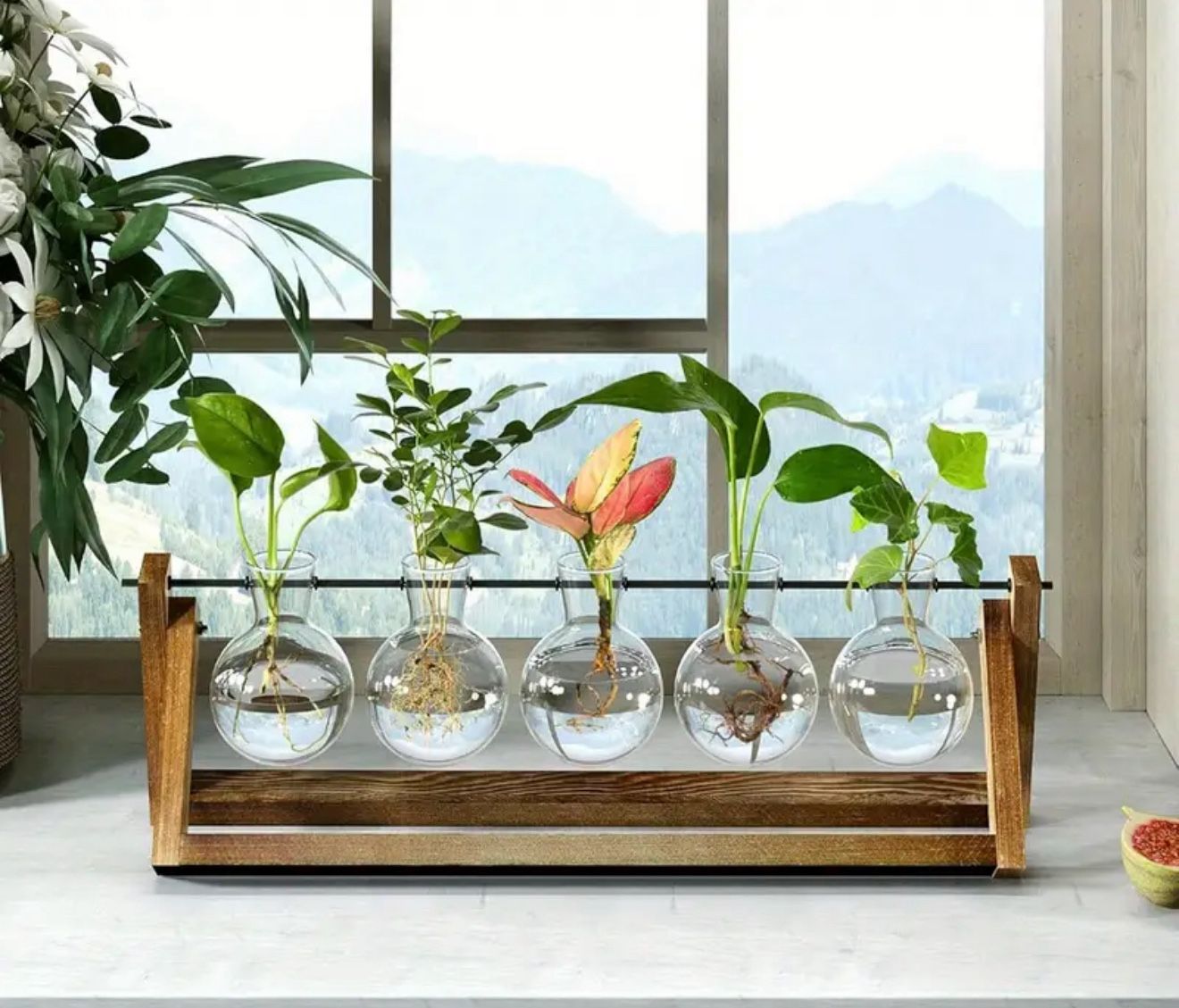 Plant Terrarium with Wooden Stand