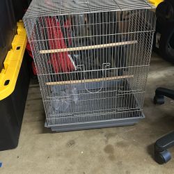 Bird Cage