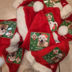 Dog Holiday Santa Hat