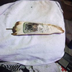 Fossilized Scrimshaw Artwork By Anna Pavlak-good 