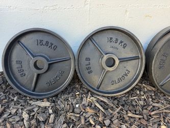 35lbs cast iron plates