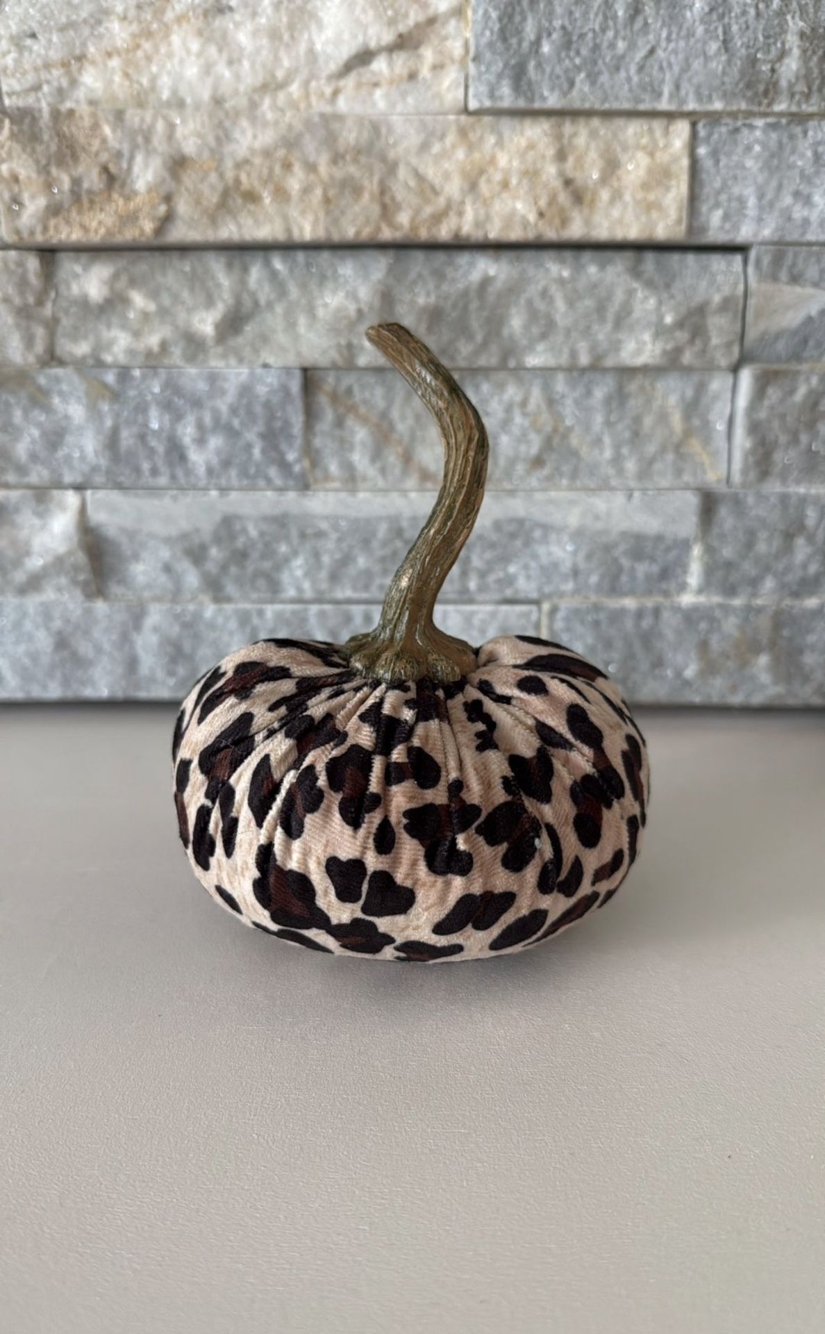 Leopard velvet pumpkin