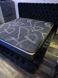 Queen Size Mattress Pillow Top New