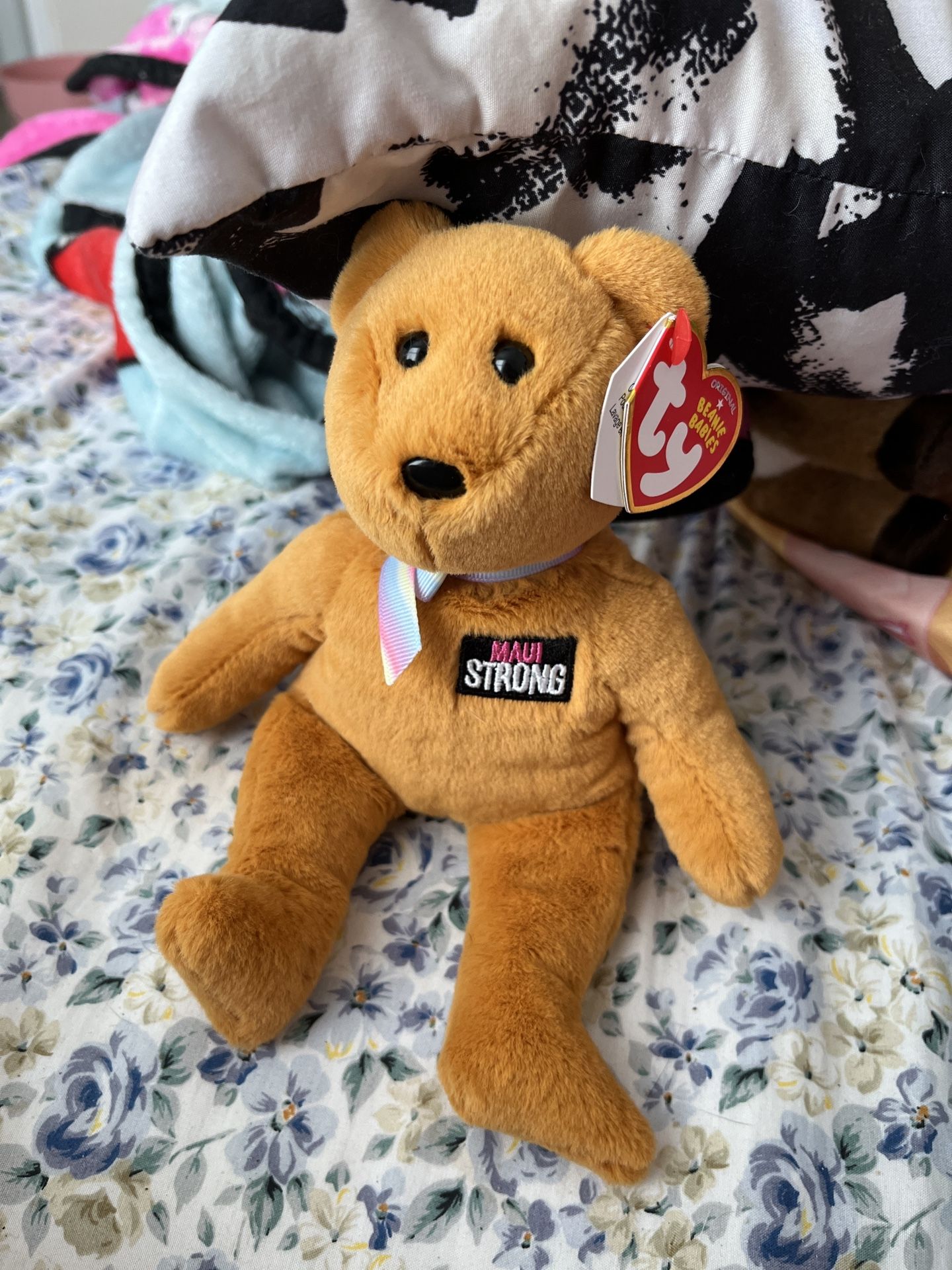 This Is The Original Beanie Baby Collection