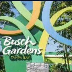 Busch Garden Tampa Bay Tickets