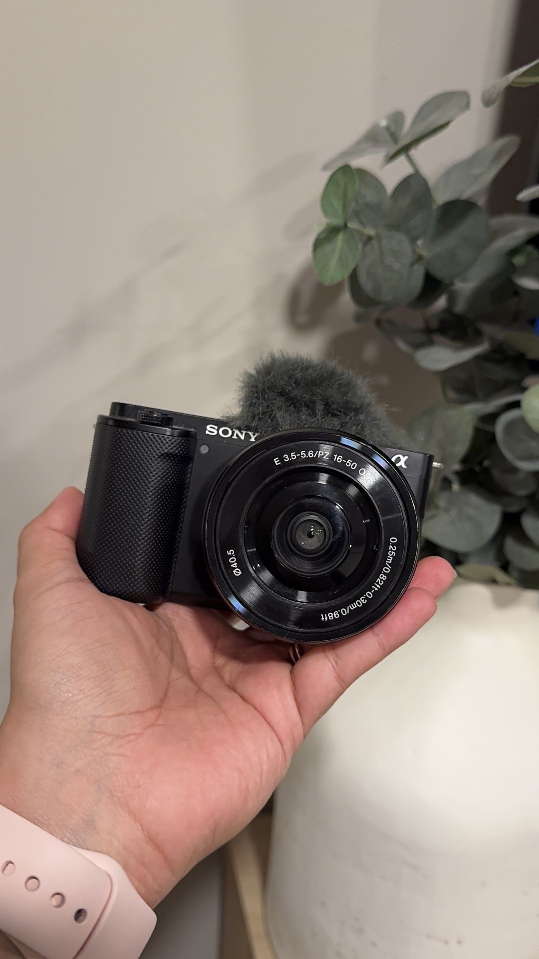 SONY ZVE 10