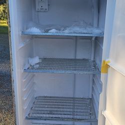 Stand Up Frigidaire 15 Sq Ft Freezer