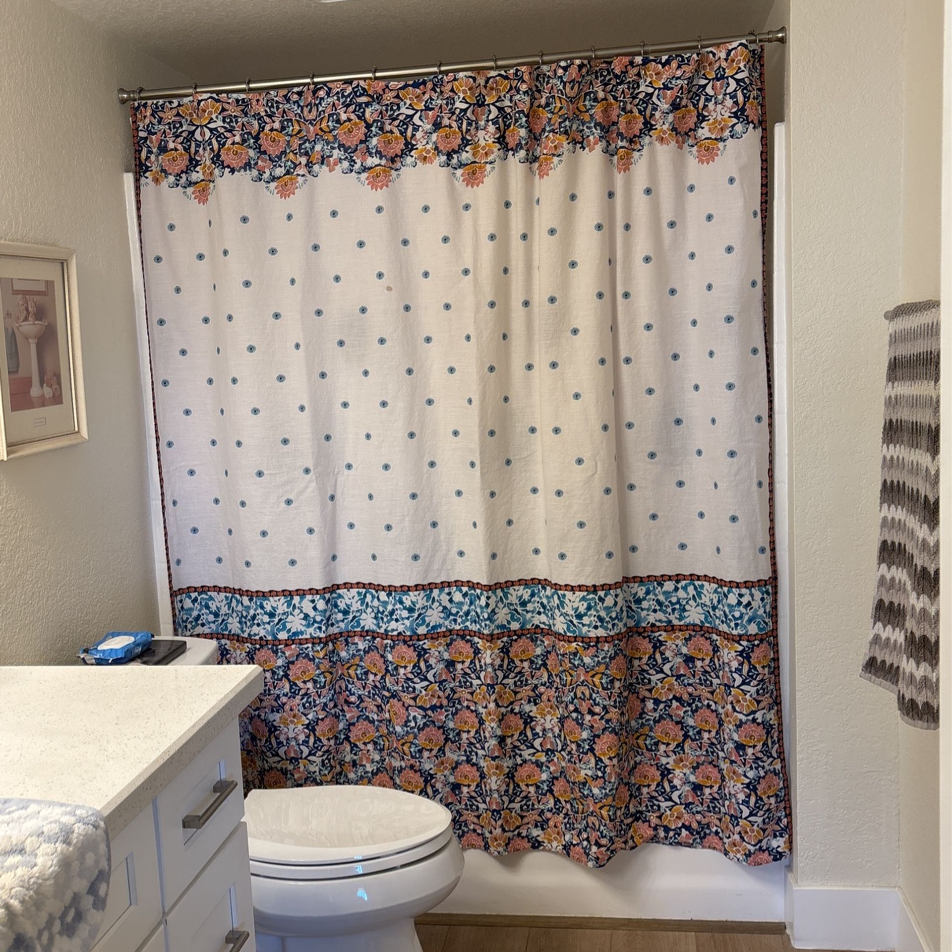 Anthropologie Shower Curtain