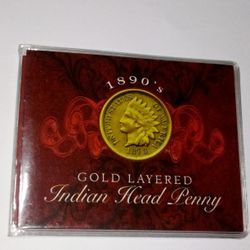 1890's Gold Layered Indian Head Penny With Certificate Of Authenticity In Protected Folder 