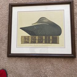 Duck Print.  Signed & Framed