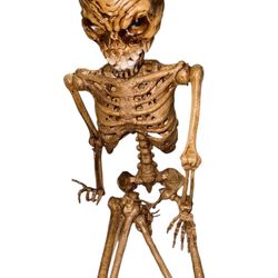 Home Accents Holiday 6ft Grave & Bones Poseable Skeleton with LifeEyes – Used Once, Open Box