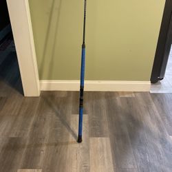 Daiwa Proteus WN 8’ Rod